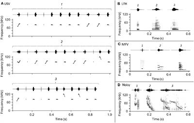 Physiological and Behavioral Responses to Vocalization <mark class="highlighted">Playback</mark> in Mice